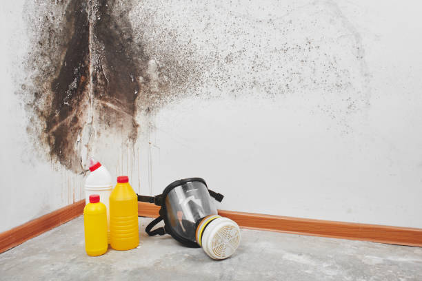 Best Bathroom Mold Remediation in Garrett, WA