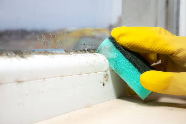 Best Mold Testing and Inspection Services in Garrett, WA