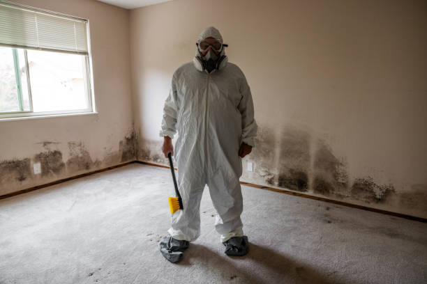 Best Localized Mold Remediation (e.g., coastal areas, humid climates) in Garrett, WA