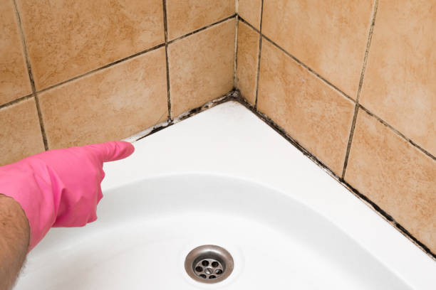 Best Preventive Mold Services in Garrett, WA